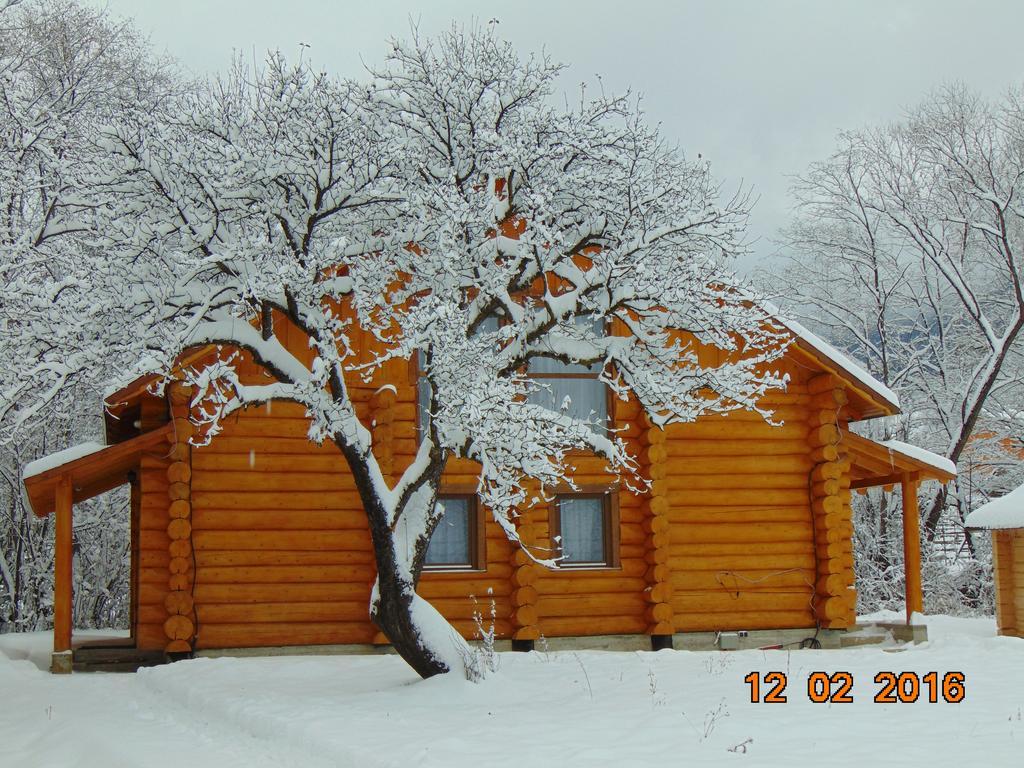 Casutele Din Moisei Hotel Bagian luar foto