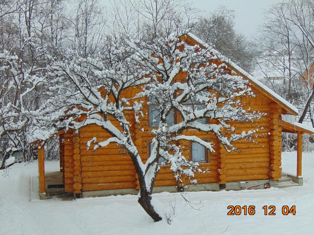 Casutele Din Moisei Hotel Bagian luar foto