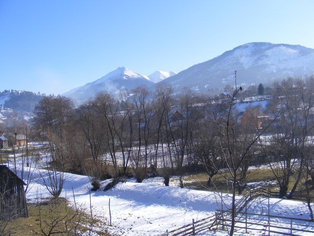 Casutele Din Moisei Hotel Bagian luar foto