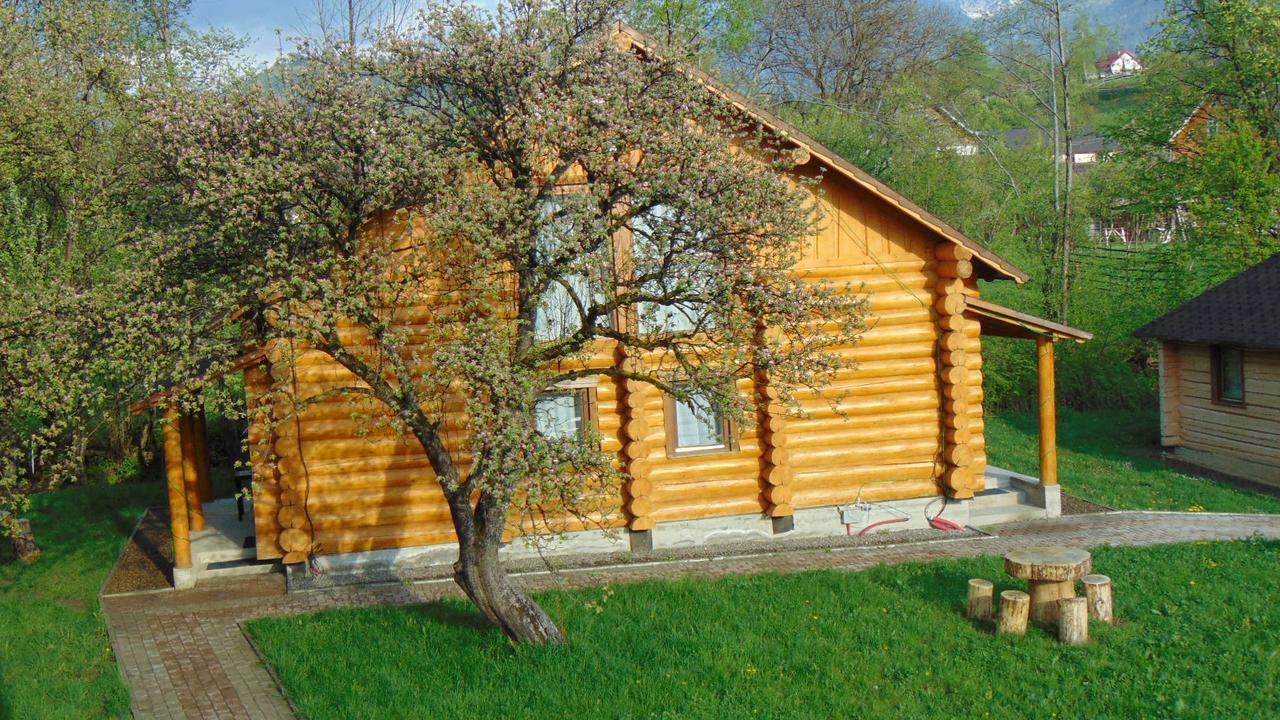 Casutele Din Moisei Hotel Bagian luar foto