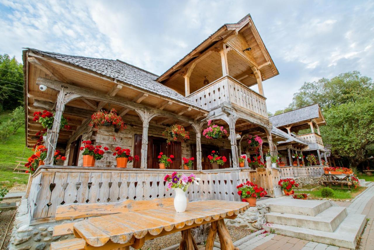 Casutele Din Moisei Hotel Bagian luar foto